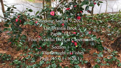 Paper 145 - Four Eventful Days at Capernaum