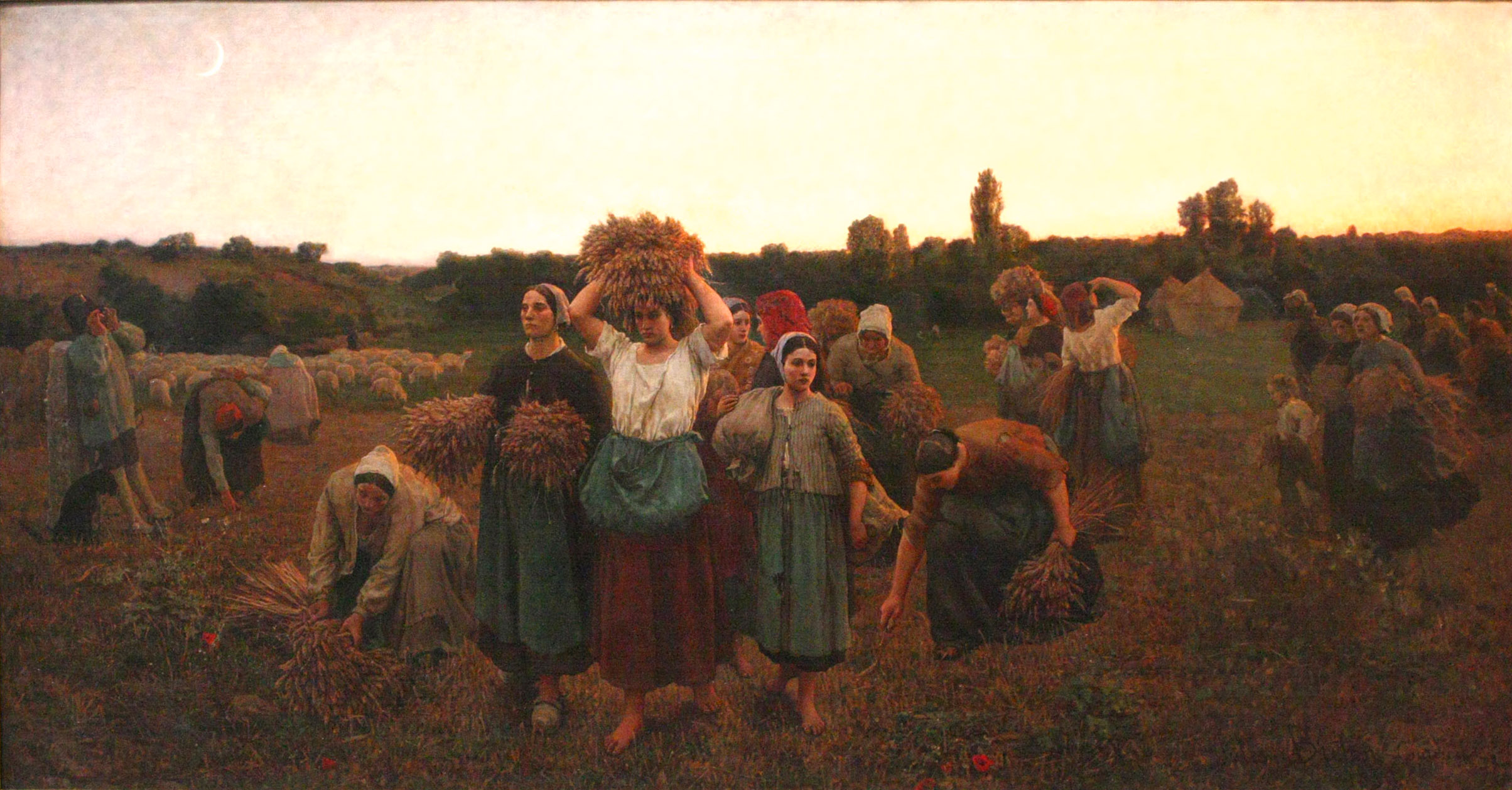 The Harvesters