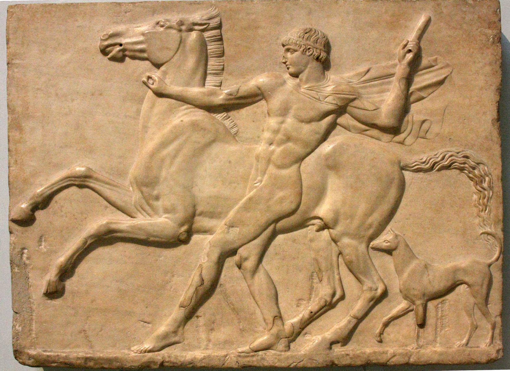 Horse