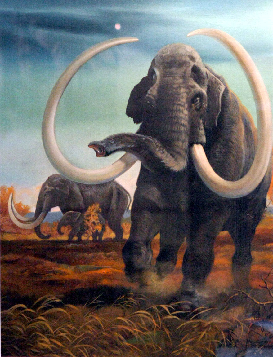 mammoth