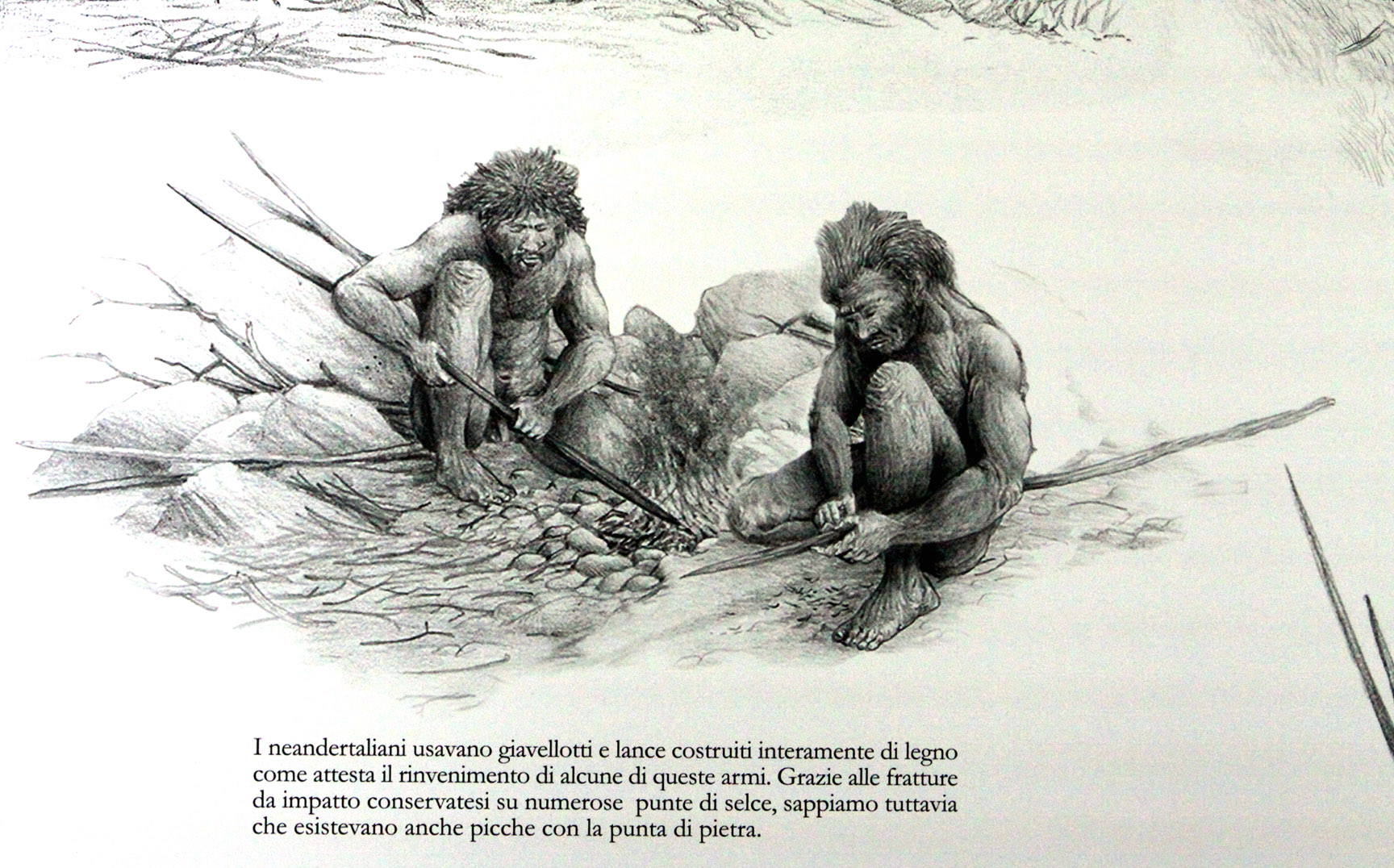 Neanderthalers